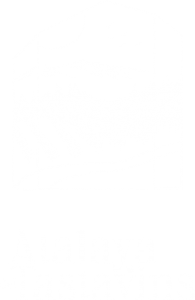 logo-adt-blanco