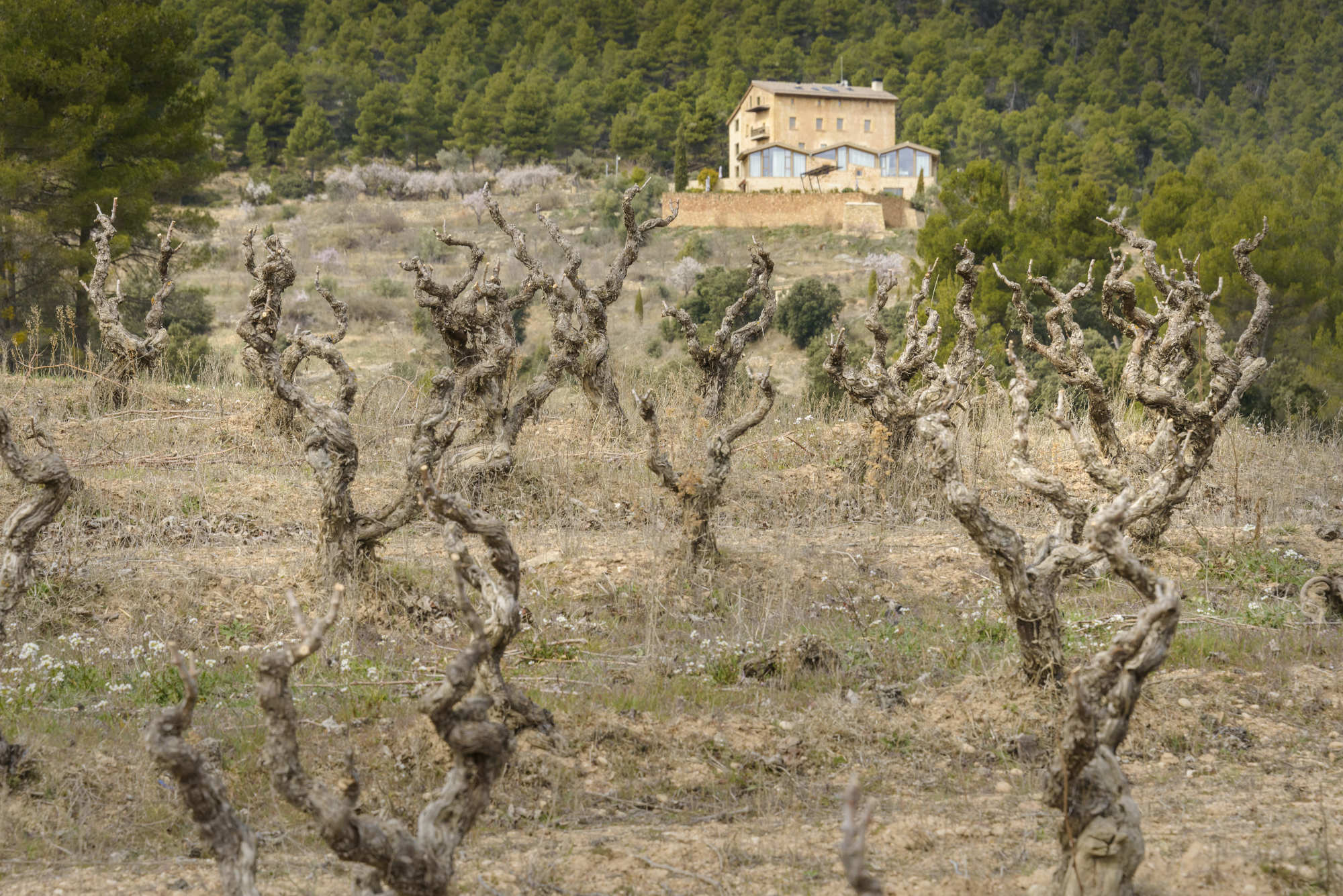 restaurant-atalaya-tastavins-monroyo-teruel-gastronomic-concept-2